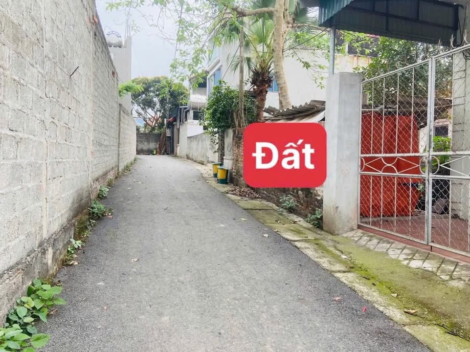 Đất nền 100m² tại thôn Giữa, Bình Xuyên chỉ 1 tỷ - Đầu tư sinh lời hấp dẫn!