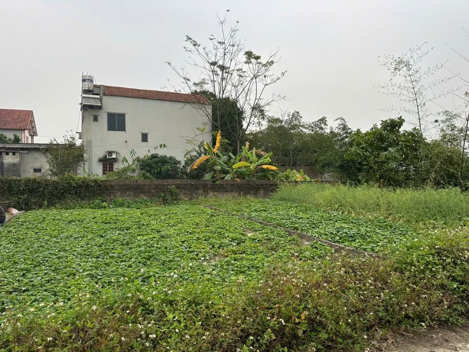 Đất nền Sông Công 100m² giá chỉ 600 triệu - Đầu tư sinh lời ngay!