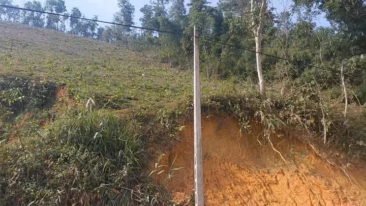 Đất rừng sản xuất 4ha tại Như Thanh, Thanh Hóa - Giá chỉ từ 4 tỷ