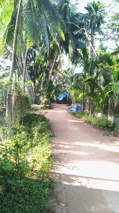 Đất nền Phường Hoài Thanh 115m² giá 390 triệu - Đầu tư sinh lời ngay!