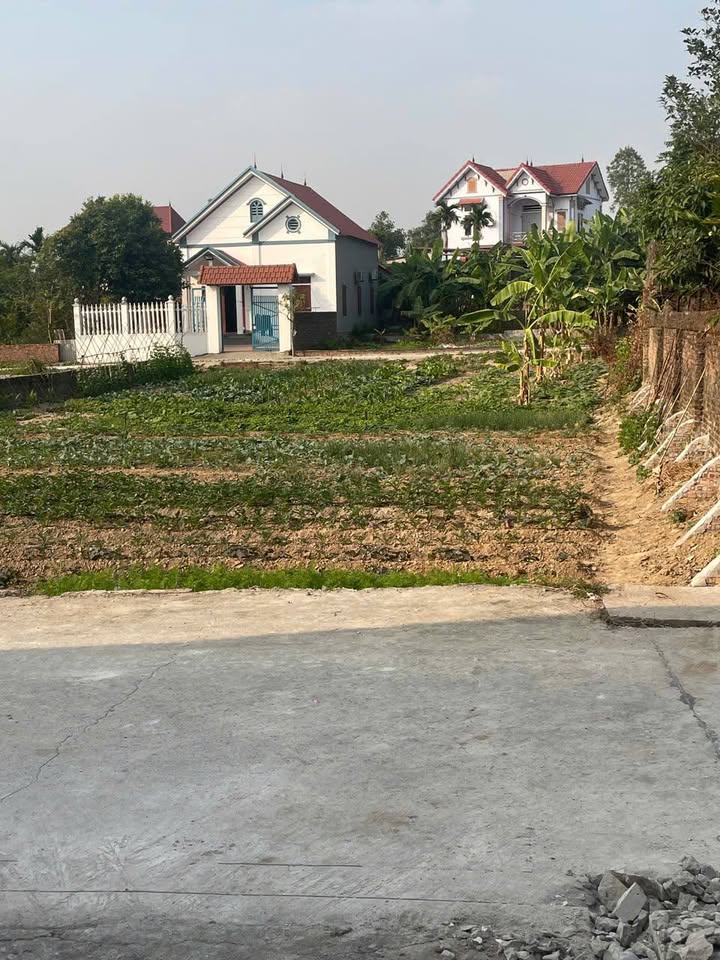 Đất nền tại TDP Xuân Phú, Bắc Ninh 125m² giá 1.3 tỷ - Cơ hội đầu tư hấp dẫn!