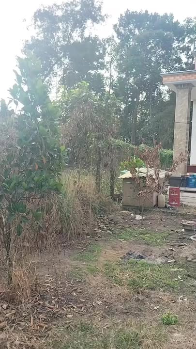 Nhà mặt tiền Hòa Hưng, An Hòa 500m² giá 2.3 tỷ - Sân ô tô rộng rãi!