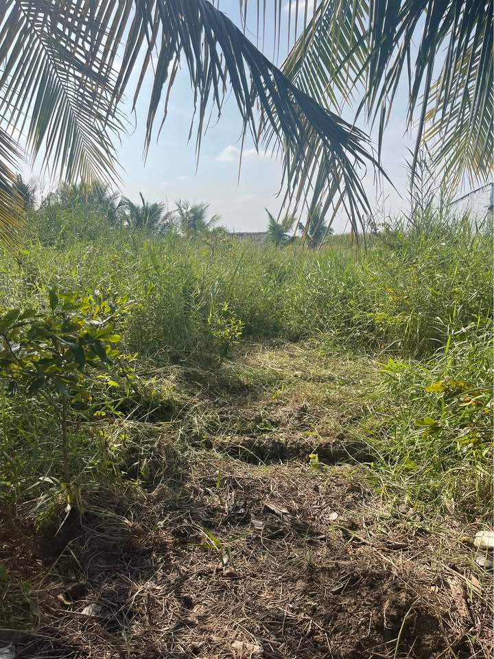 Đất nền 320m² Xã Đông Hưng A giá 350 triệu - Đầu tư sinh lời ngay!