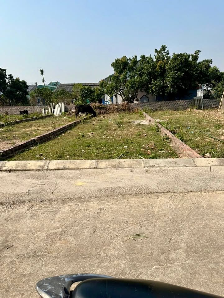 Đất nền Phú Thịnh Sóc Sơn 102m² giá cực tốt - Sổ hồng chính chủ!