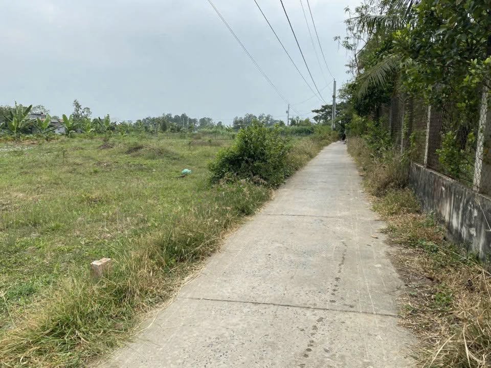 Đất thổ cư 100m² tại Tân Hòa, Đồng Tháp - Cơ hội đầu tư giá chỉ 290 triệu!