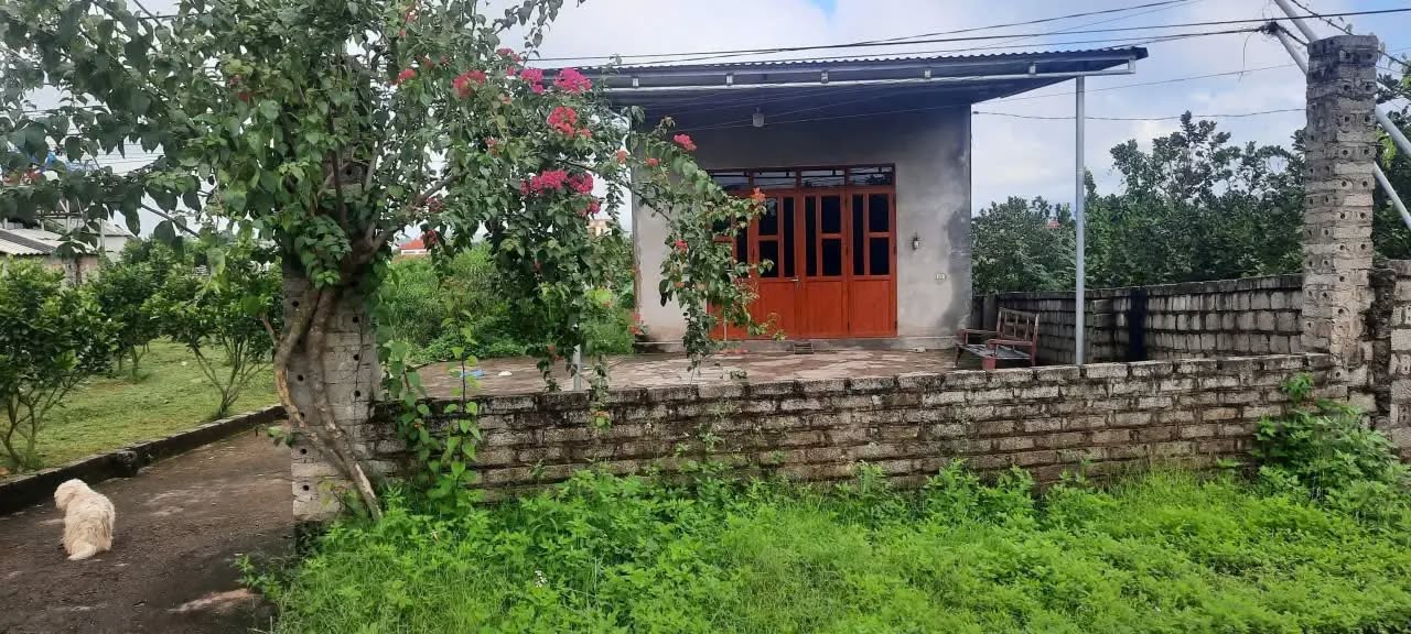 Đất thổ cư 241m² tại TDP Hồ Quế, Phường Chũ - Giá thỏa thuận, sẵn sàng ở ngay!