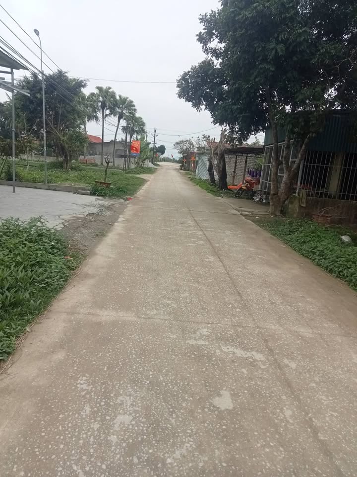 Đất thổ cư thôn Ngọc Đôi, xã Quảng Phúc, 200m² giá chỉ 500 triệu - Cơ hội đầu tư hấp dẫn!