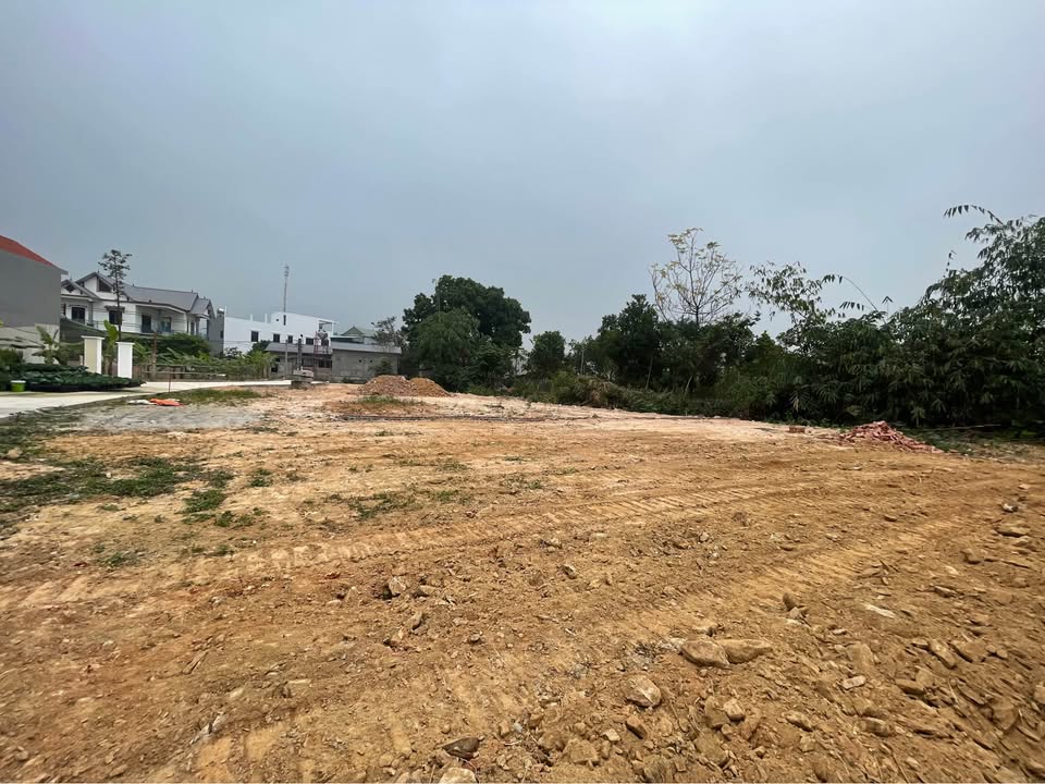 Đất thổ cư 100m² tại TDP Sơn Long, Tam Đảo chỉ 1 tỷ - Xây nhà vườn lý tưởng!