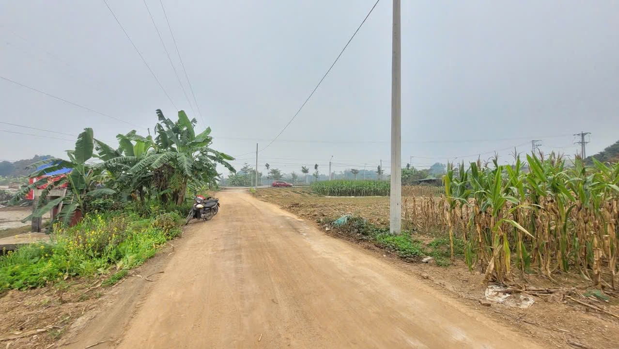 Đất liền kề khu 3B Chu Hóa, Phú Thọ 245m² giá 3 tỷ - Sổ hồng chính chủ!