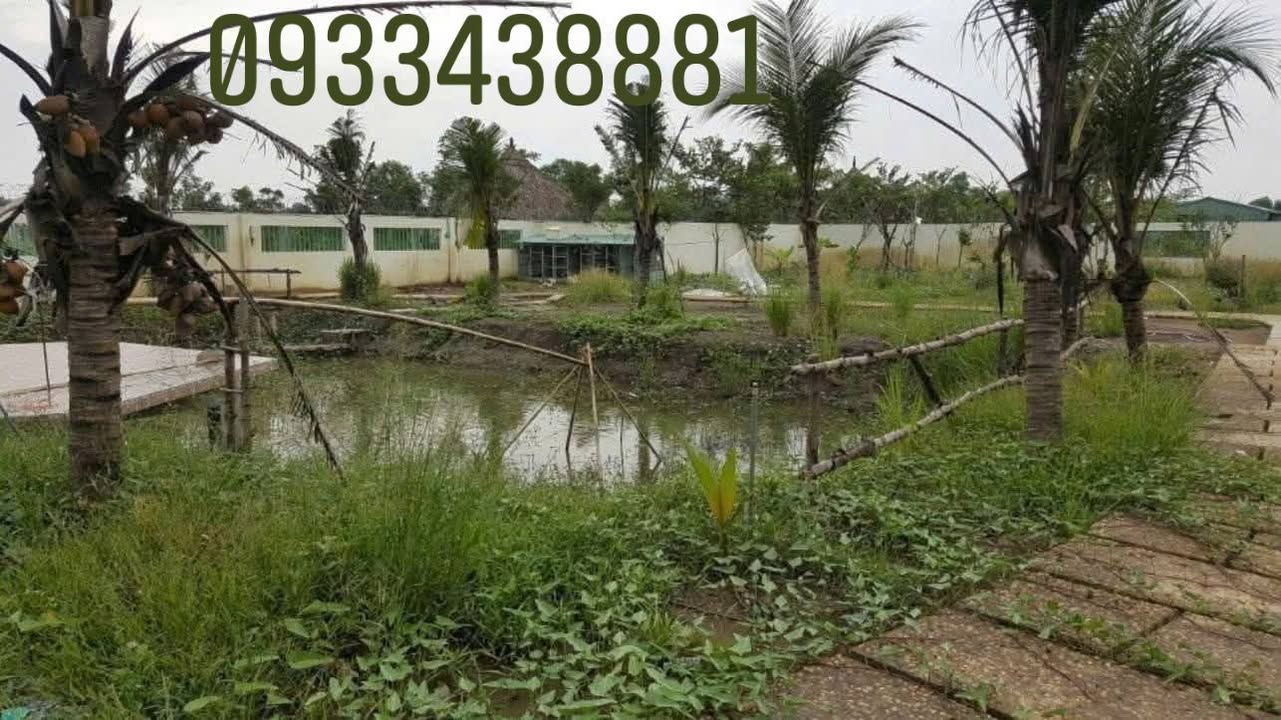 Cho thuê nhà vườn 2000m² tại An Phú Tây - Không gian xanh lý tưởng