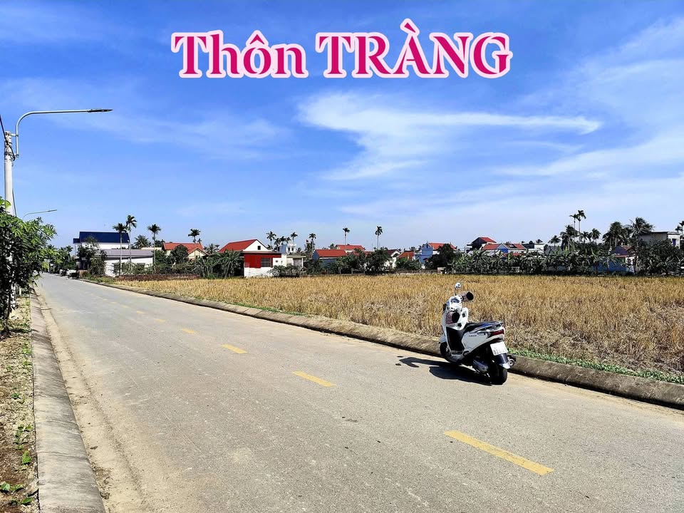 Đất vườn 352m² tại Thôn Tràng, Vĩnh Bảo - Giá chỉ 950 triệu - Sổ hồng riêng