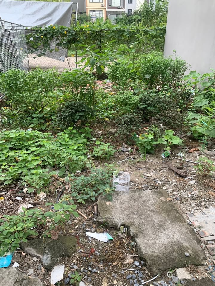 Nhà riêng Ngô Xuân Quảng 50m² giá 5.9 tỷ - Mặt phố thông thoáng, đầu tư sinh lời!