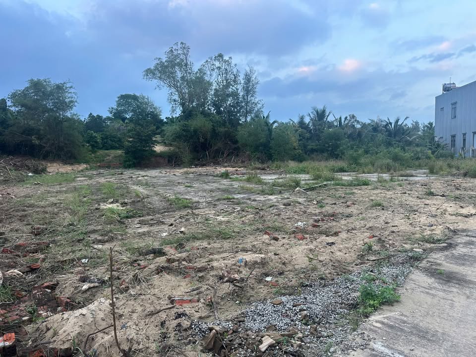 Lô vườn tại xã Bình Nguyên, huyện Thăng Bình 1000m² giá chỉ 4.5 tỷ - Cách biển 500m!