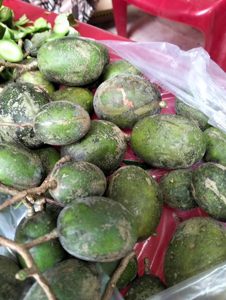 Đất thổ cư Ấp Bào Môn, Xã Đôn Châu 210m² giá 160 triệu - Sổ hồng sang tên ngay!