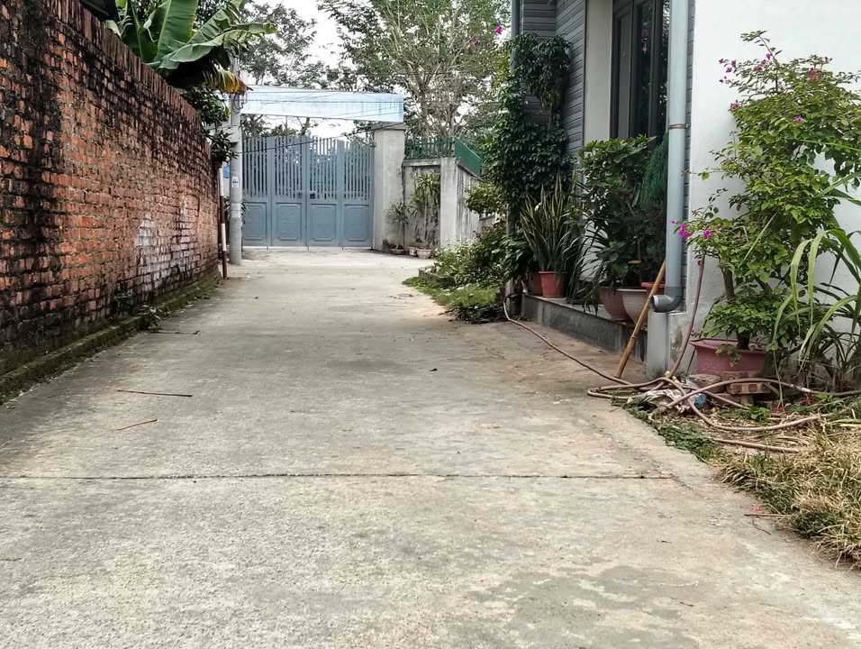 Đất thổ cư Thôn Đan Tảo, Sóc Sơn 35400m² giá 2 tỷ - Sổ đỏ đẹp, giao dịch ngay!