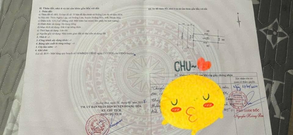 Đất nền Xã Hoằng Lưu 125m² giá 1 tỷ - Đầu tư sinh lời ngay!