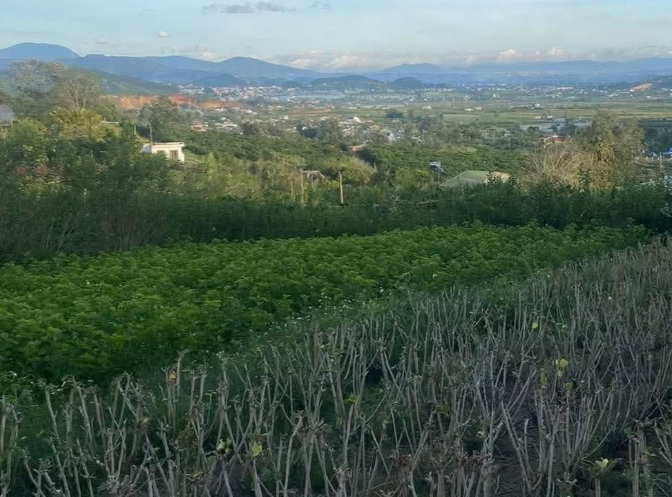 Đất nền Tân Văn, Lâm Hà 740m² giá 350 triệu - Sổ hồng chính chủ!