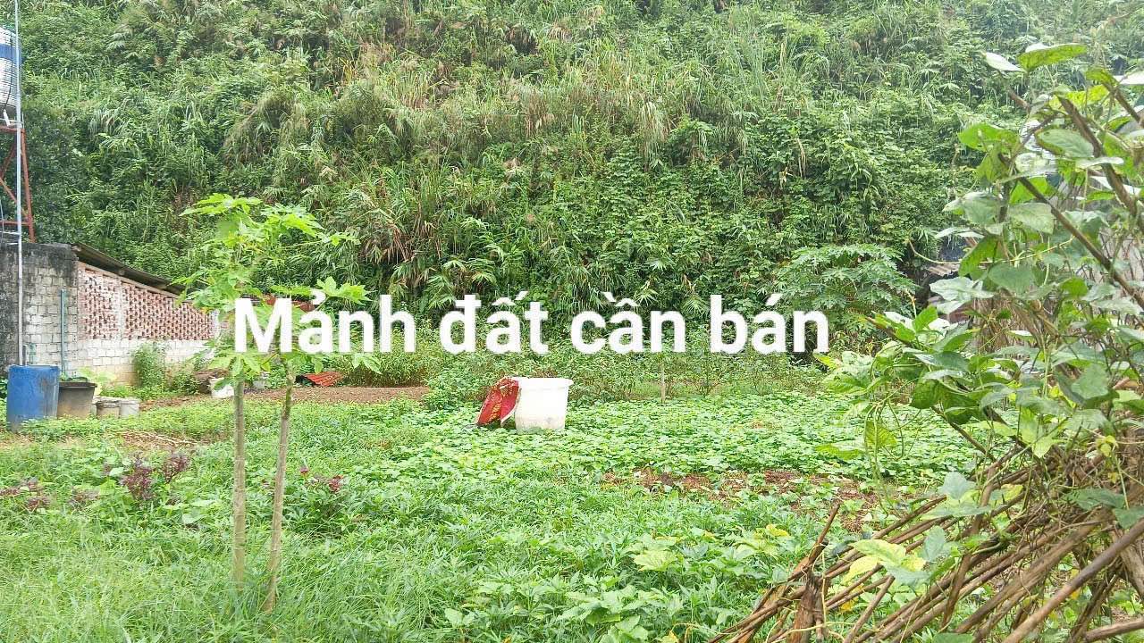 Đất nền Cốc San Lào Cai 378m² giá 2.x tỷ - Vị trí đắc địa, pháp lý hoàn chỉnh!