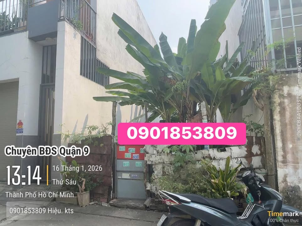 Đất nền Phường Long Trường 55m² giá 3.35 tỷ - Cơ hội đầu tư tuyệt vời!