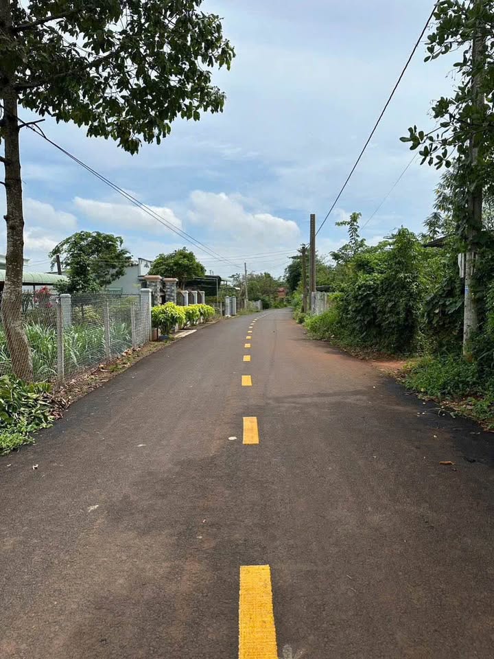 Đất nền 2000m² tại xã Hưng Long, Bình Chánh - Giá chỉ 4 tỷ!