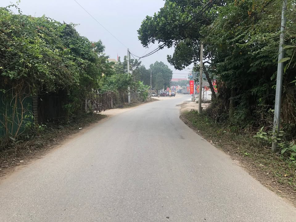 Đất mặt tiền kinh doanh đường Thanh Mỹ, 100m² giá 3.x tỷ - Cơ hội vàng đầu tư!