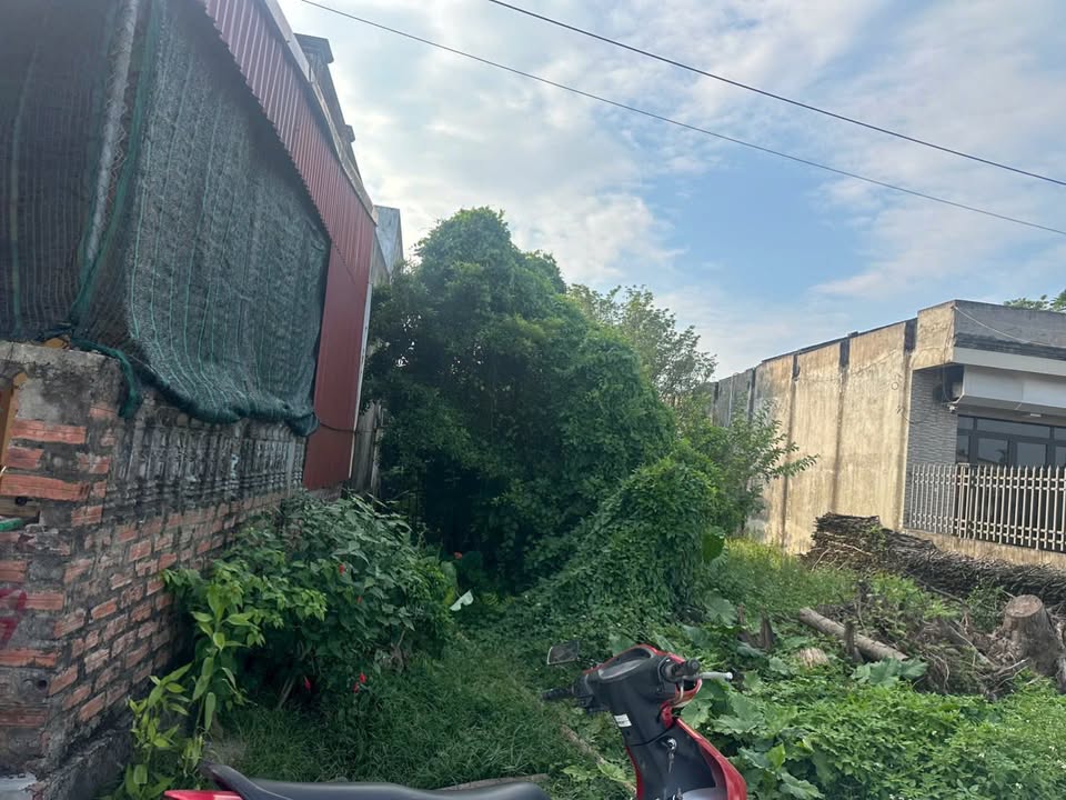 Đất nền 100m² tại xóm 20, xã Chính Lý, huyện Lý Nhân - Giá chỉ 1 tỷ, cần bán gấp!