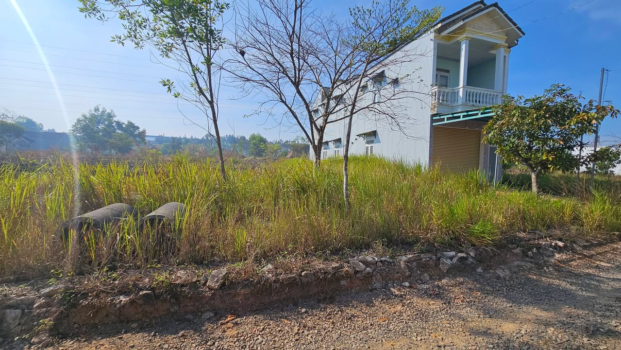 Đất thổ cư Bảo Lộc 130m² giá 1.65 tỷ - Cách Quốc lộ 20 chỉ 300m!