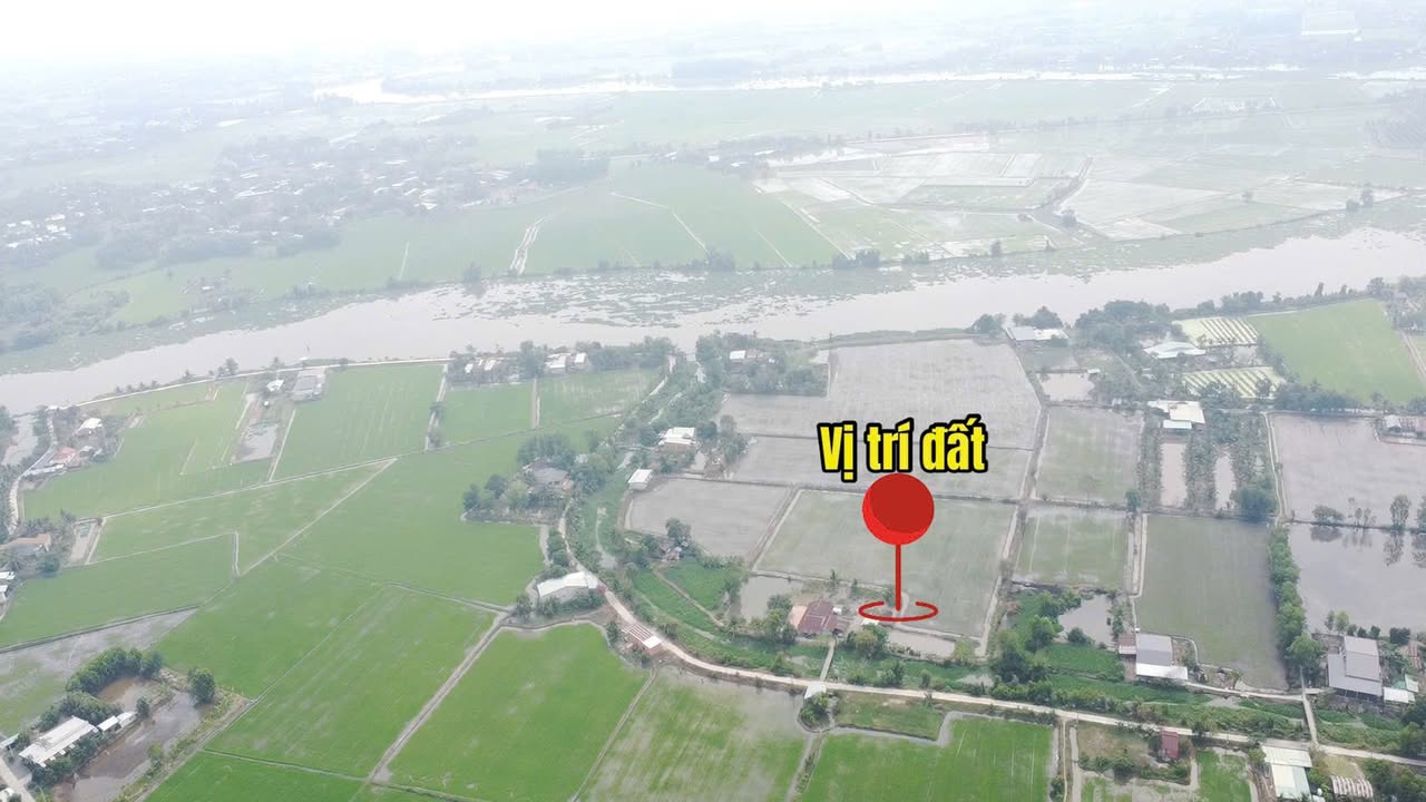 Farm 85.000m² tại Rạch Kênh Củi Nhỏ, Trảng Bàng, Tây Ninh - Giá chỉ 1.5 tỷ!