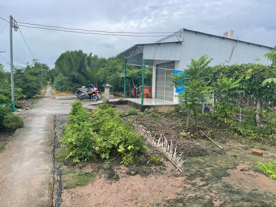 Đất Farm Hòa Thành Cà Mau 7200m² giá 4.5 tỷ - Cơ hội đầu tư lý tưởng!