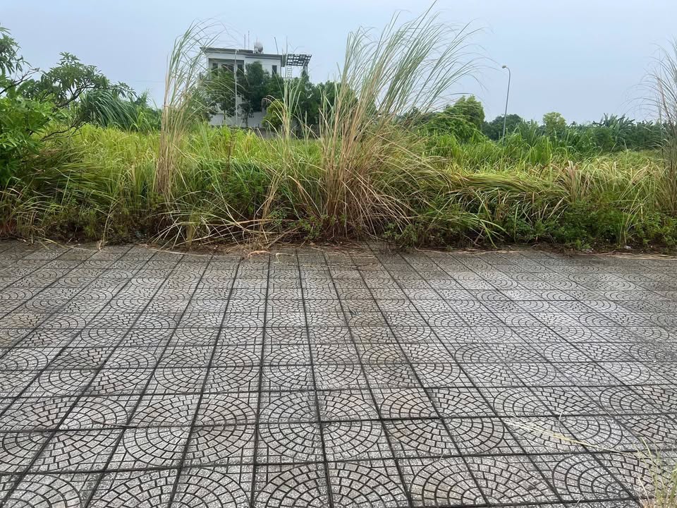 Đất nền khu đô thị Bến Gót Việt Trì 250m² chỉ 5 tỷ - Đầu tư sinh lời ngay!