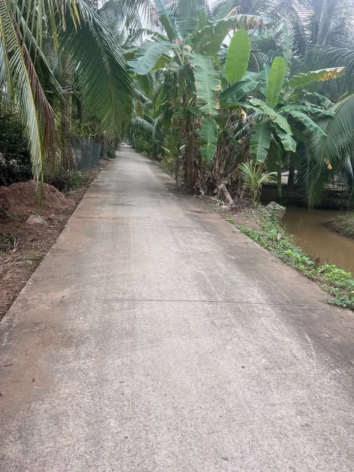 Đất vườn dừa 1864m² Xã Lộc Hòa giá 950 triệu - Đầu tư sinh lời!