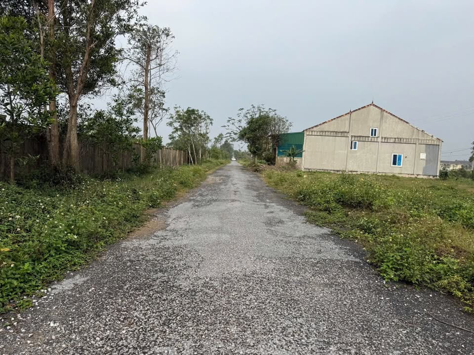 Đất nền Cửa Lò 256m² giá 5.2 tỷ - Đầu tư sinh lời ngay!