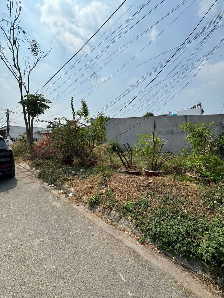 Đất nền Phú Mỹ, Quận 7, 102m² giá 2.6 tỷ - Vị trí đắc địa, tiềm năng đầu tư!