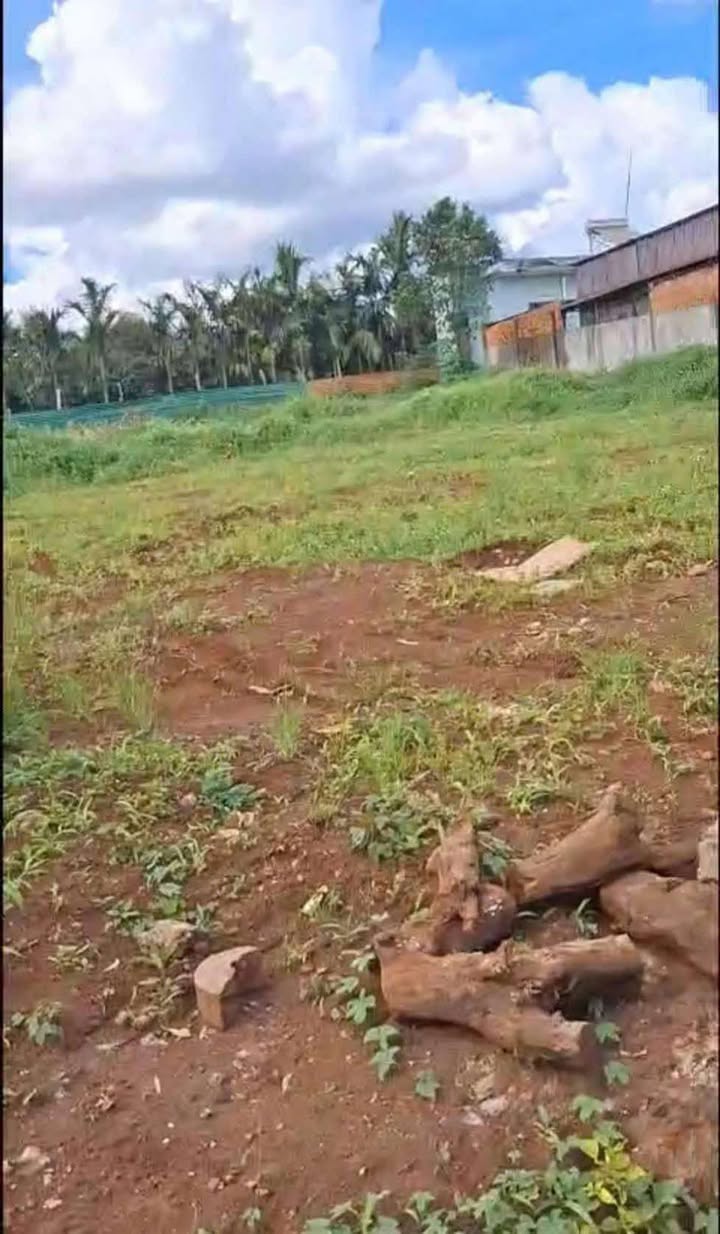 Đất thổ cư 1496m² mặt tiền đường Hồ Xuân Hương - Giá chỉ 140 triệu/m²