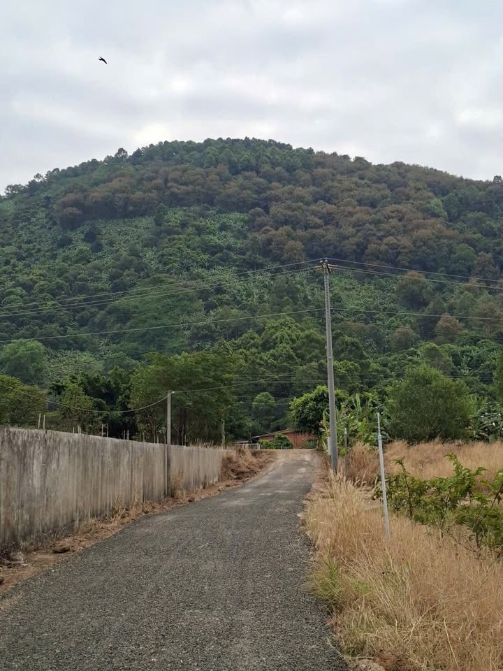 Đất thổ cư 150m² tại kp Thạnh Lợi, Tây Ninh - Giá chỉ từ 300 triệu!