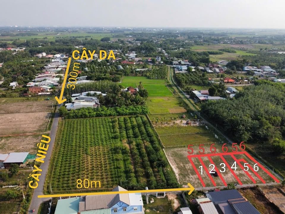 Đất nền Hiệp Thạnh, 105m² giá 420 triệu - Cơ hội đầu tư tuyệt vời!