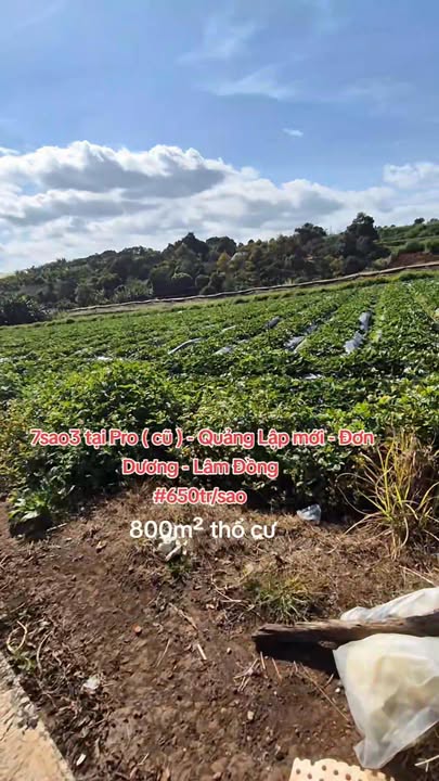 Đất thổ cư 800m² tại xã Pró, Đơn Dương, Lâm Đồng - Giá 650 triệu, thương lượng chính chủ!
