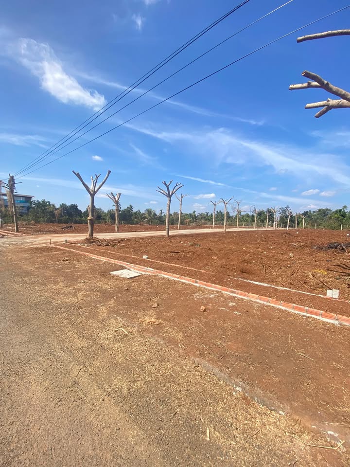 Đất nền đường B5, Tân An, Buôn Ma Thuột 125m² giá 1.2 tỷ - Đầu tư sinh lời ngay!
