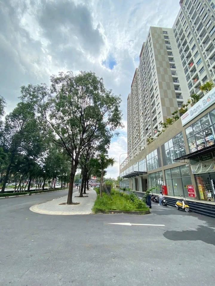 Căn hộ chung cư A6-7 Biên Hòa 55m² giá 5.5 triệu - Giao nhà ngay!