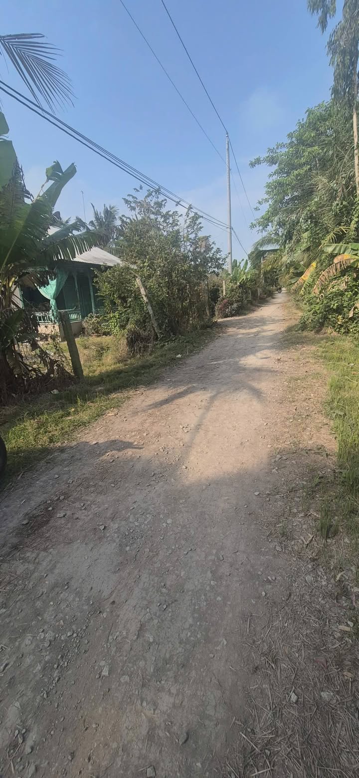 Đất nông nghiệp 25 công xã Tây Phú, An Giang giá 40 tỷ - Cơ hội đầu tư hấp dẫn!