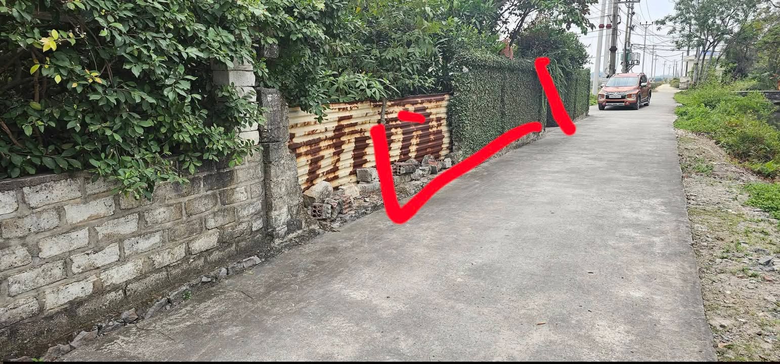 Đất nền 100m² tại Đường Tân Đức, Thanh Miện - Giá chỉ 1,1 tỷ, ô tô vào tận nơi!