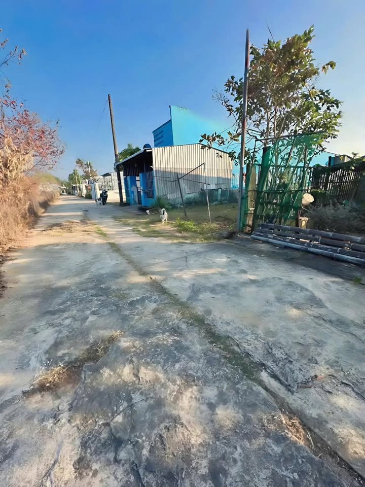 Đất nền Cây Thông Trong, Phú Quốc 120m² giá chỉ 700 triệu - Cơ hội đầu tư hấp dẫn!