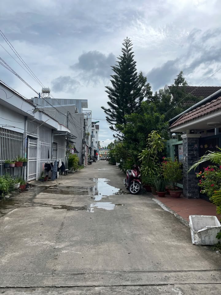 Đất biệt thự 500m² Đường Tuyến Tránh Phú Quốc chỉ 1.2 tỷ - Cơ hội đầu tư hiếm có!