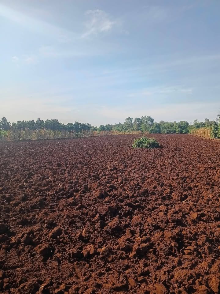 Đất nền thôn Hà Thông, xã Ka Đô, 25.200m² giá 2.2 tỷ - Cơ hội đầu tư tuyệt vời!