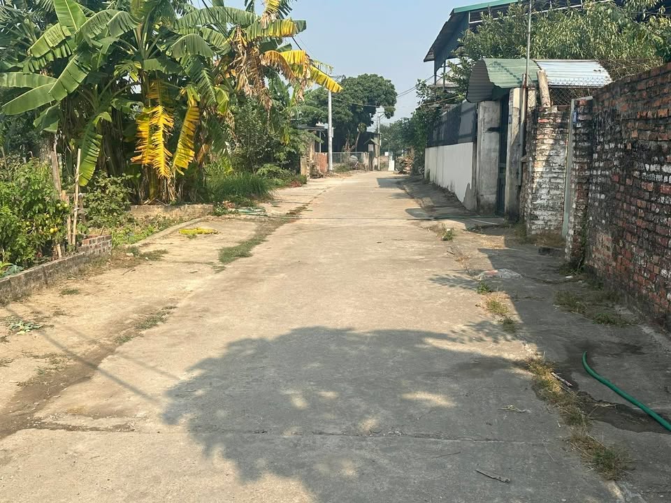 Đất thổ cư 620m² tại xã Tân Dân, Sóc Sơn - Cơ hội đầu tư lý tưởng!