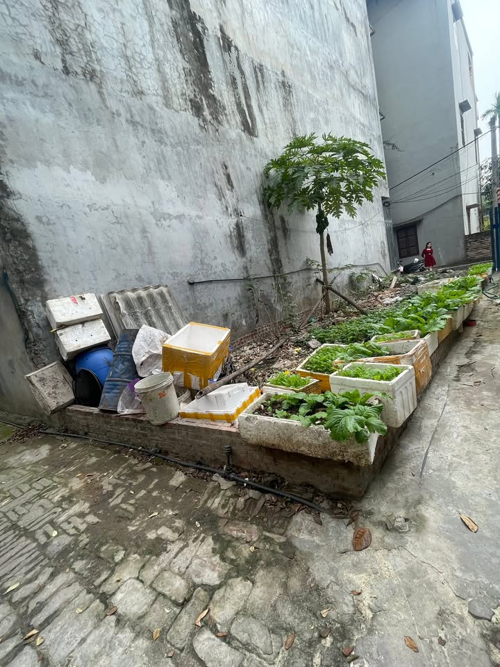 Đất nền Kim Nỗ 45m² giá 3 tỷ - Gần trục đường kinh doanh sầm uất!