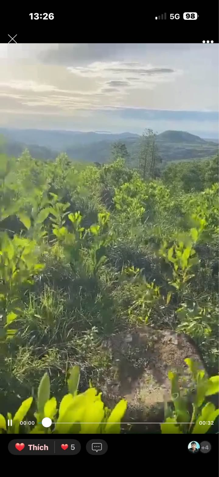 Lô đất 24,000m² mặt tiền DT643 giá chỉ 1 tỷ - Cách mặt tiền chỉ 200m!