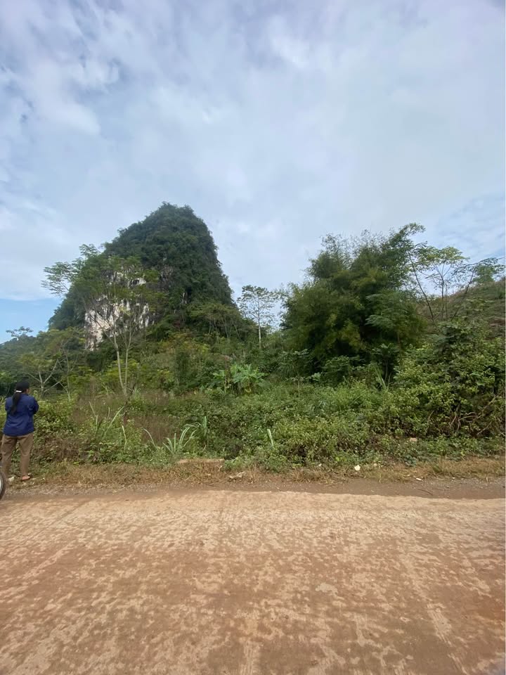 Đất vườn 486.5m² xã Lương Nha Phú Thọ chỉ từ 100 triệu - Sổ đỏ chính chủ!