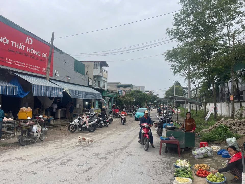 Đất nền 100m² tại Thị trấn Tân Phong, Quảng Xương - Vị trí đẹp, giá 1.2 tỷ!