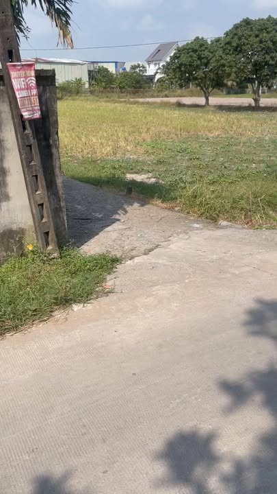 Đất vườn phân lô Bình Lợi, 575m² giá 3.5 tỷ - Vị trí đẹp, chính chủ!